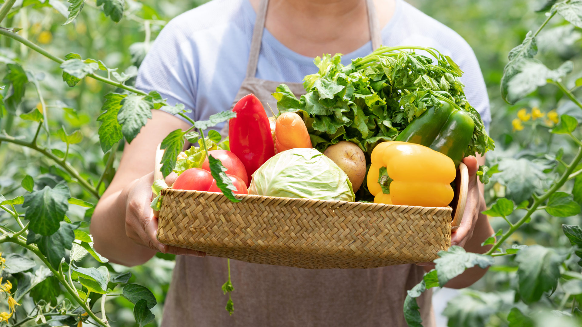 今年会·(中国大陆)认证慈善机构