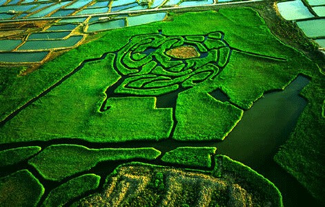 今年会·(中国大陆)认证慈善机构