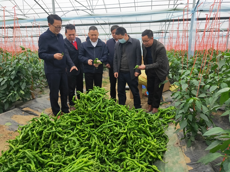 今年会·(中国大陆)认证慈善机构