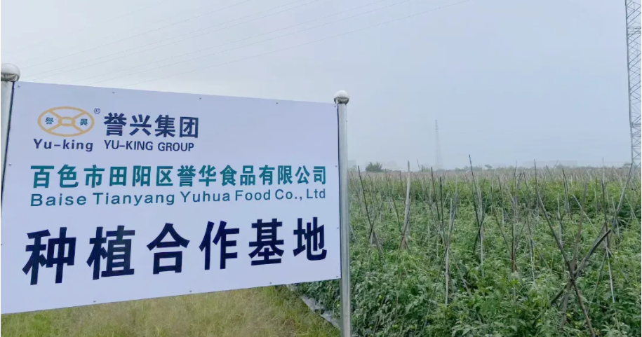 今年会·(中国大陆)认证慈善机构