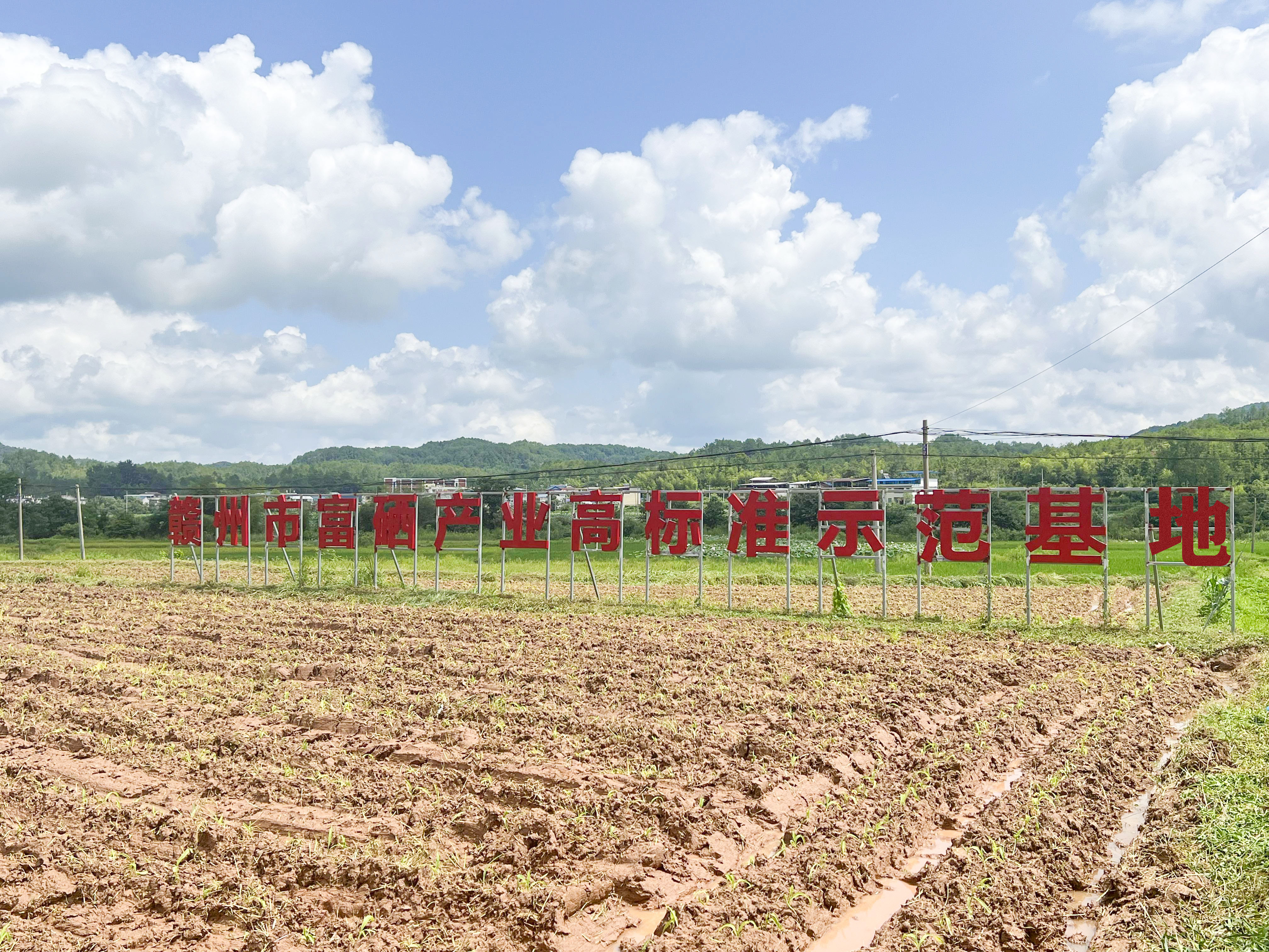 今年会·(中国大陆)认证慈善机构