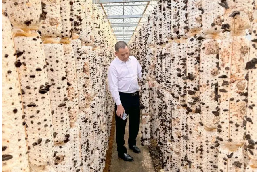 今年会·(中国大陆)认证慈善机构